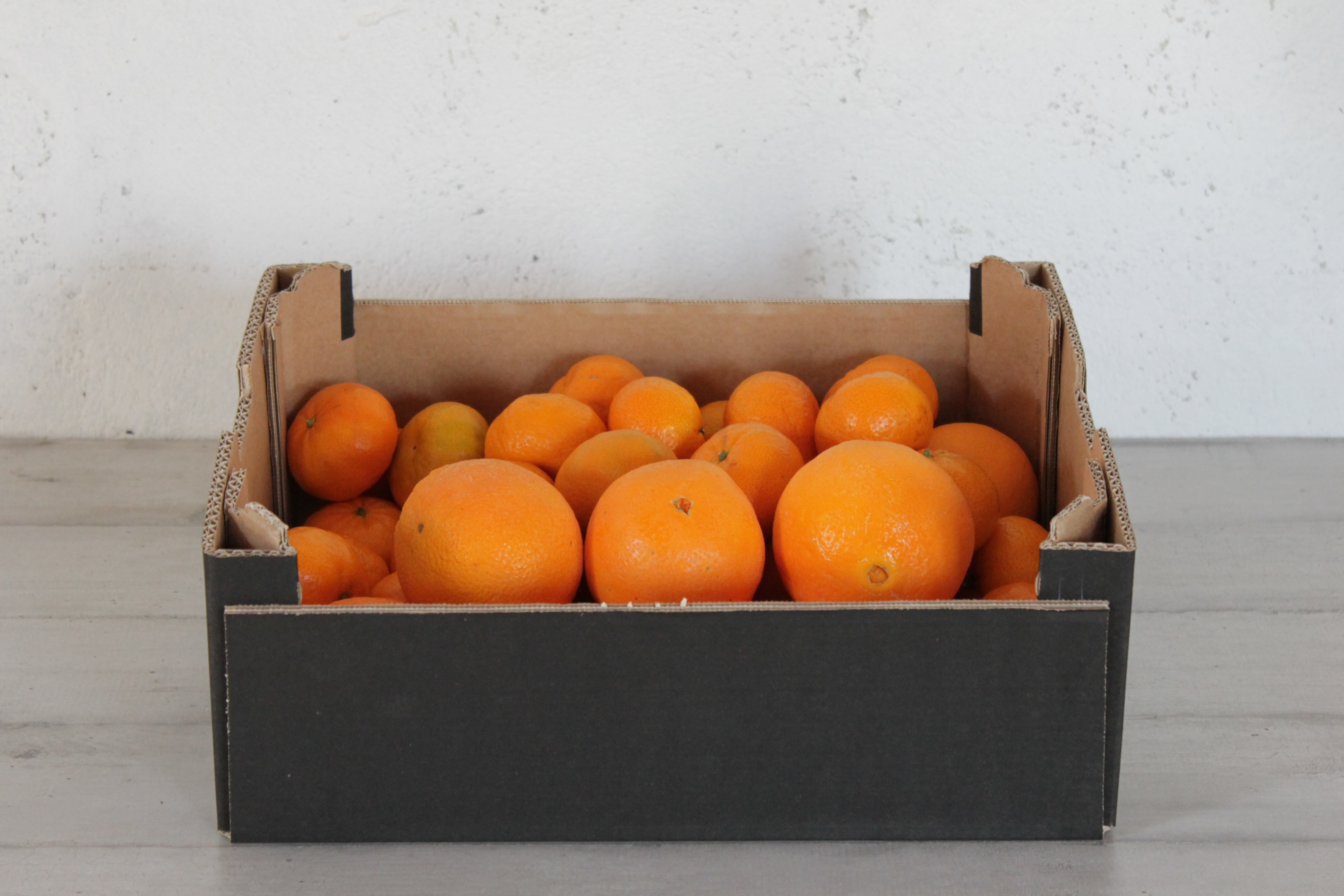 Mix Mandarines-Oranges Bio
