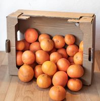 Mandarines Bio
